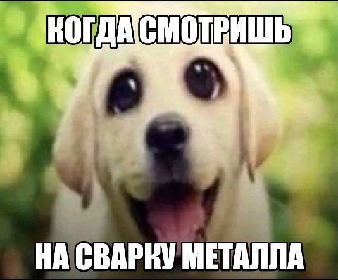 НА СВАРКУ МЕТАЛЛА