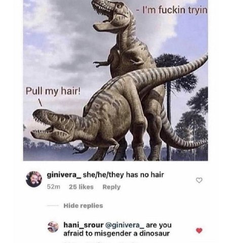 fuckin tryin “7 Pull my hair! и. ginivera_ she/he/they has по hair 25 likes Reply Hide replies hani_srour @ginivera_ are you a afraid to misgender a dinosaur