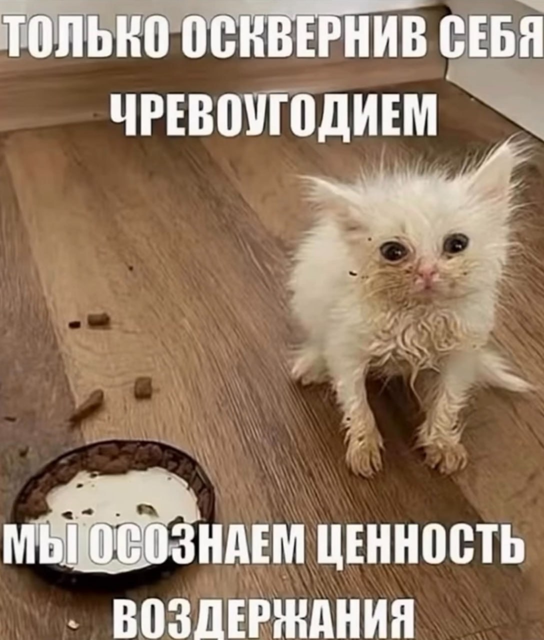 ТОЛЬКО ОСКВЕРНИВ СЕБЯ ЧРЕВОУГОДИЕМ ЦЕННОСТЬ