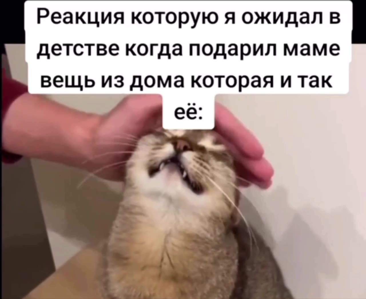 Реакция которую я ожидал в | детстве когда подарил маме | вещь из дома которая и так