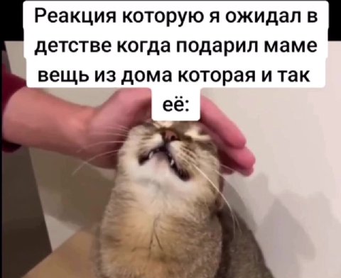 Реакция которую я ожидал в | детстве когда подарил маме | вещь из дома которая и так