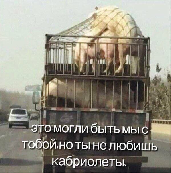Это могли быть мы С тобой, TbI He любишь кабриолеты