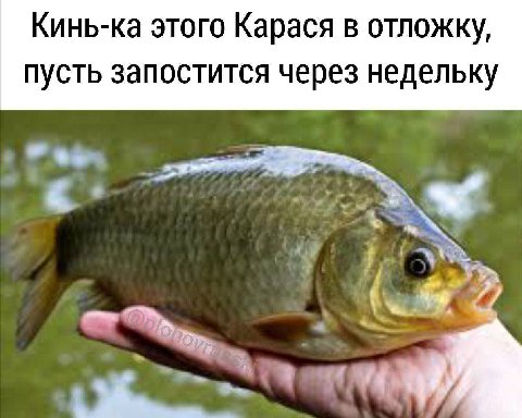 этого Карася в отложку, пусть запостится через недельку