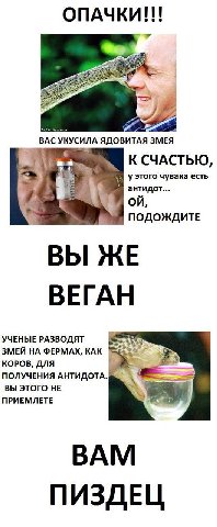 ОПАЧКИ eee ЯДОВИТАЯ К СЧАСТЬЮ, у этого чувака есть антидот... On, ПОДОЖДИТЕ ВЫ ЖЕ ВЕГАН УЧЕНЫЕ РАЗВОДЯТ AN ЗМЕЙ ФЕРМАХ, КАК КОРОВ, ДЛЯ ПОЛУЧЕНИЯ АНТИДОТА. ВЫ ЭТОГО НЕ aN ПРИЕМЛЕТЕ ВАМ ПИЗДЕЦ