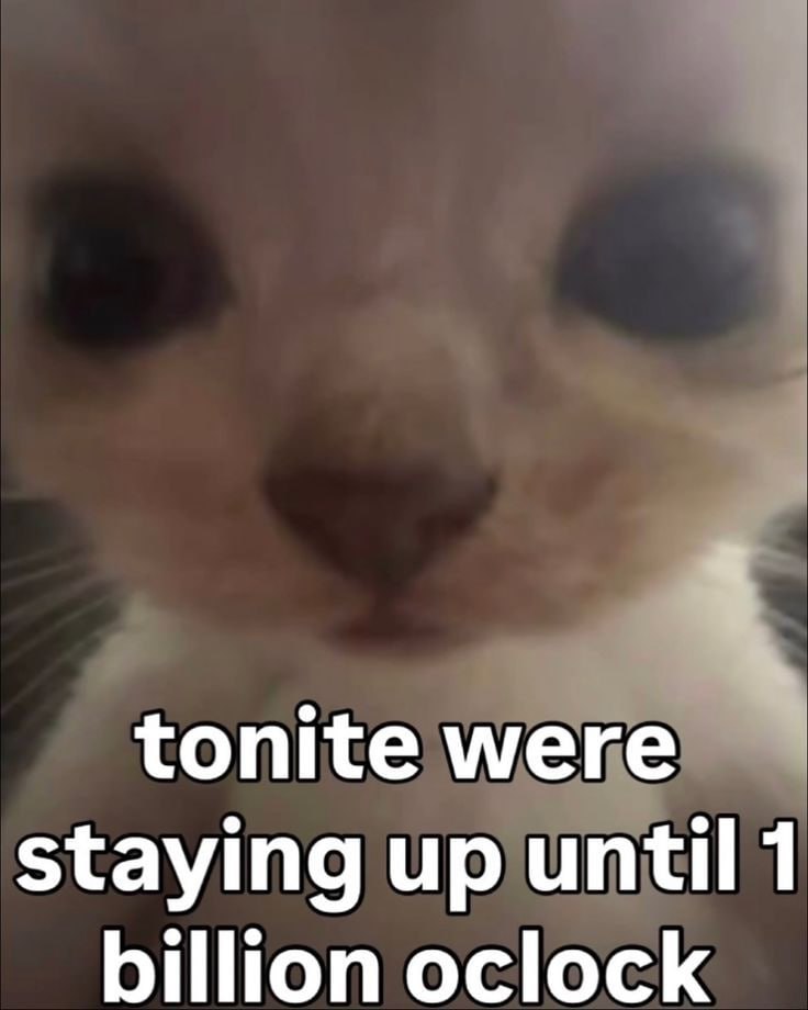 tonite were staying up until 1 billion oclock