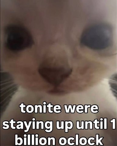 tonite were staying up until 1 billion oclock