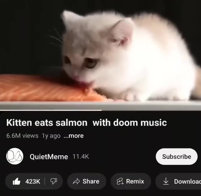 Kitten eats salmon with doom music & 423K DP A> Share & Remix 2 Downloac