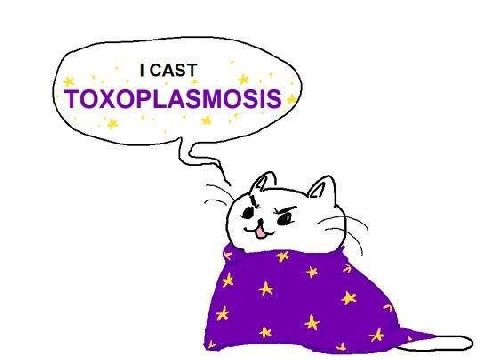 CAST TOXOPLASMOSIS