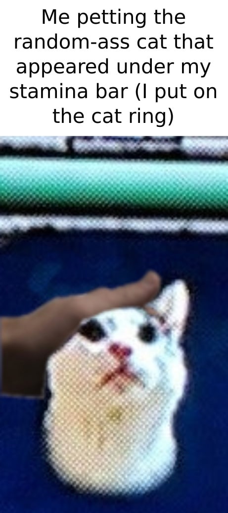 petting the random-ass cat that appeared under my Stamina bar (I put on the cat ring)