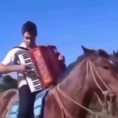 IN