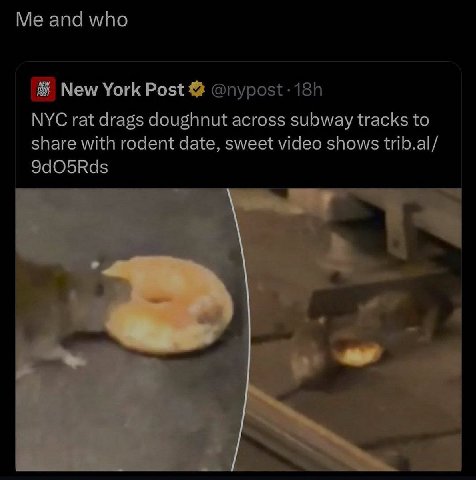 and who New York Post NYC rat drags doughnut across subway tracks to share with rodent date, sweet video shows trib.al/ 9dO5Rds