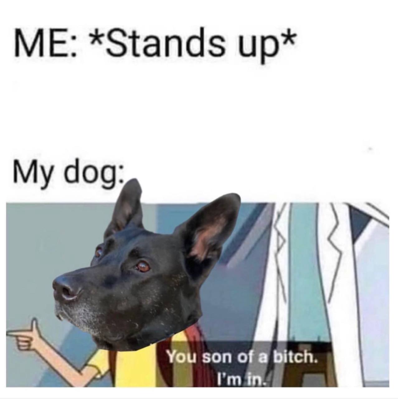 *Stands dog: You son ога Bitch.