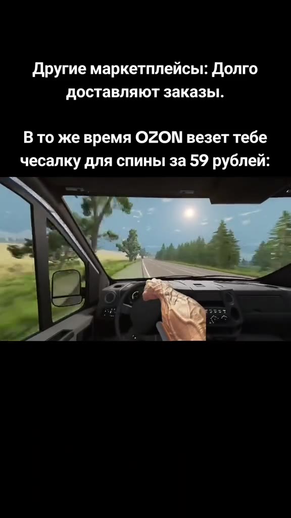 Другие маркетплейсы: Долго доставляют заказы. B To же время OZON везет тебе чесалку для спины за 59 рублей: