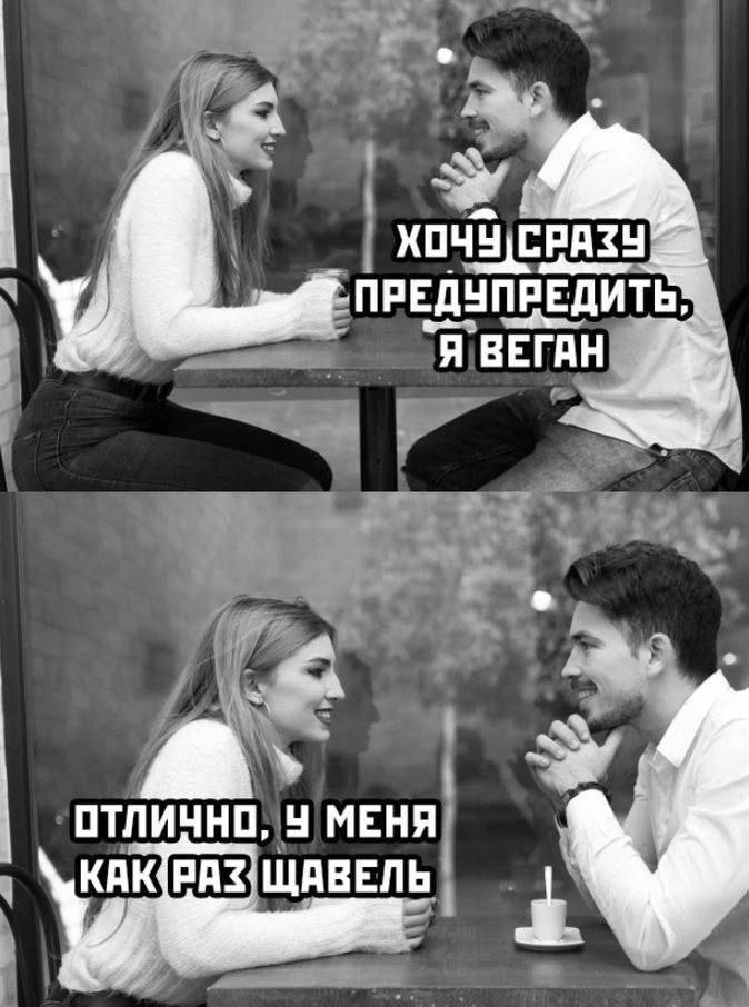 Шторы говяжьи