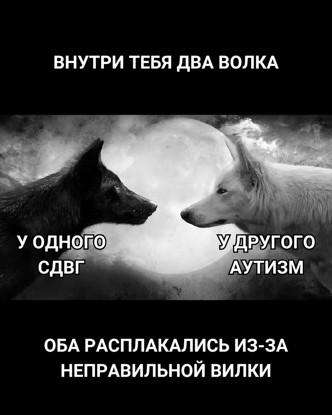 ВНУТРИ ТЕБЯ ДВА ВОЛКА у одного УДДРУГОГО СДВГ АУТИЗМ ОБА РАСПЛАКАЛИСЬ ИЗ-ЗА НЕПРАВИЛЬНОЙ ВИЛКИ