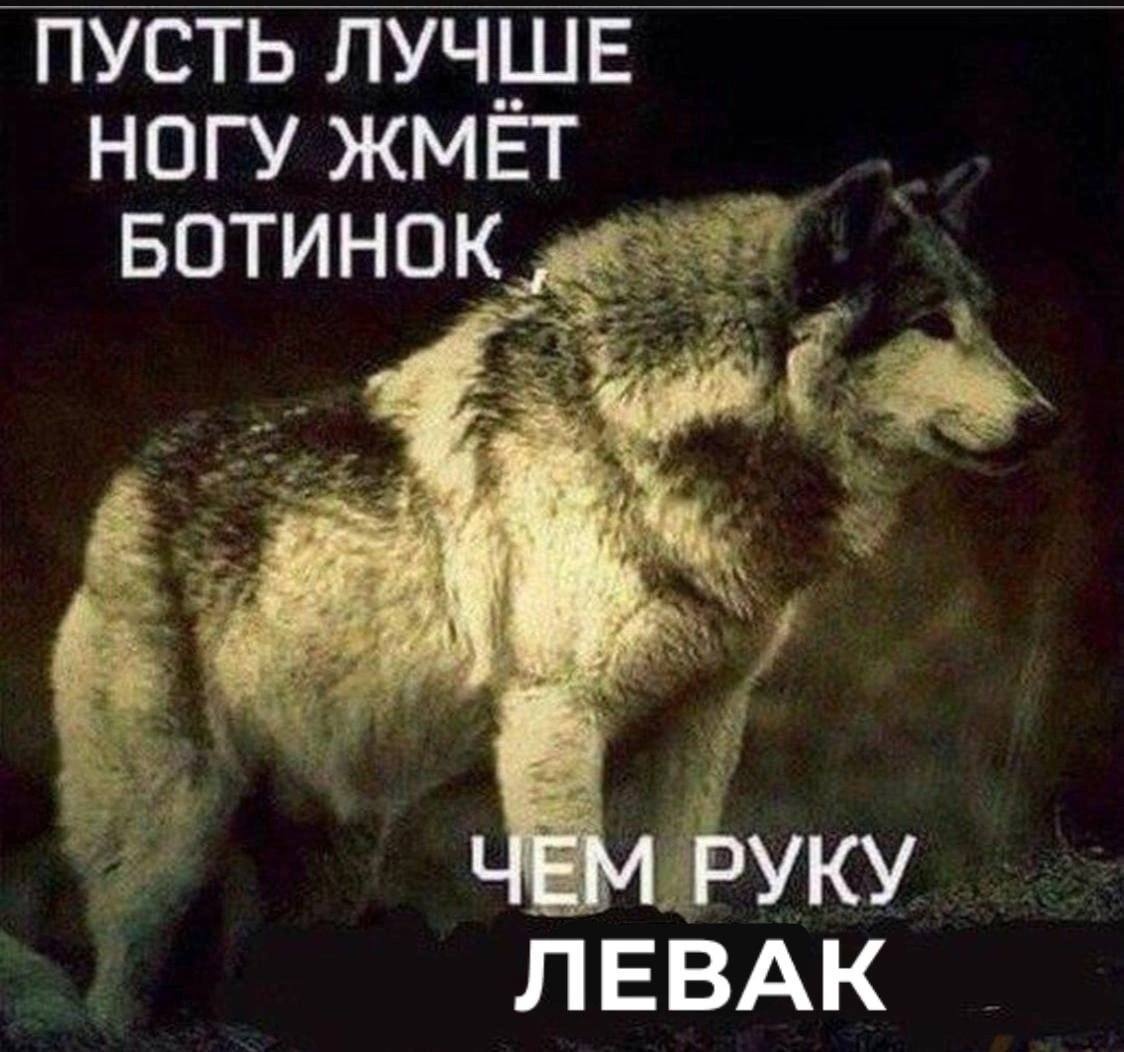 ПУСТЬ ЛУЧШЕ НОГУ ЖМЁТ БОТИНОК, ЧЕМ РУКУ ЛЕВАК
