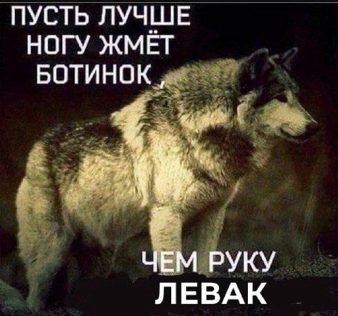 ПУСТЬ ЛУЧШЕ НОГУ ЖМЁТ БОТИНОК, ЧЕМ РУКУ ЛЕВАК