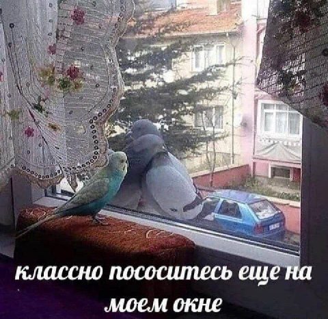“4 a Bie у классно пососитесь еще на окне