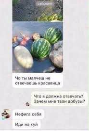 10 моих самых любимых картинок в интернете