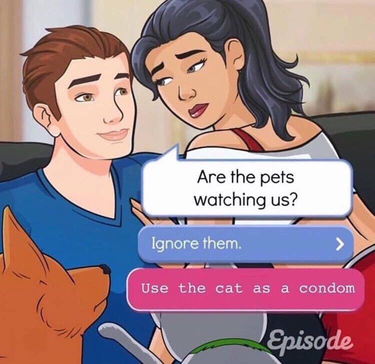7 Are the pets watching Ignore them. Use the cat as а сопаом
