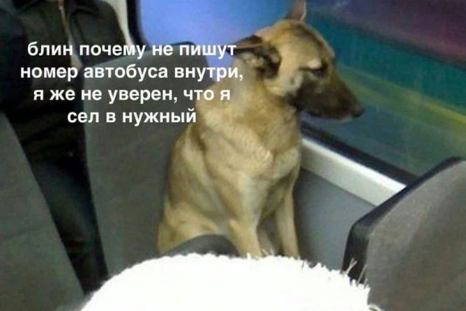 блин почему не пишут номер автобуса внутри, я же не уверен, что я сел в нужный