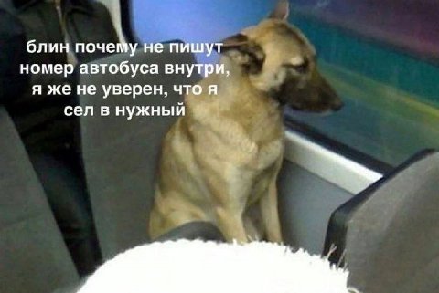 блин почему не пишут номер автобуса внутри, я же не уверен, что я сел в нужный