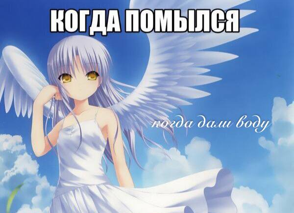 КОГДА 4 body