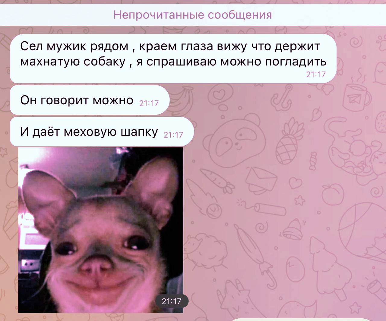 Непрочитанные сообщения Сел мужик рядом краем глаза вижу что держит махнатую собаку я спрашиваю можно погладить Он говорит можно И даёт меховую шапку 9:77 2117