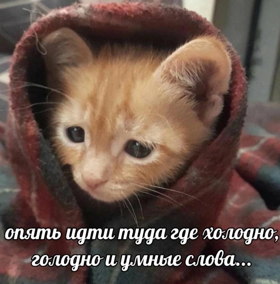 опять идти туда где холодно, голодно и уланые слова...