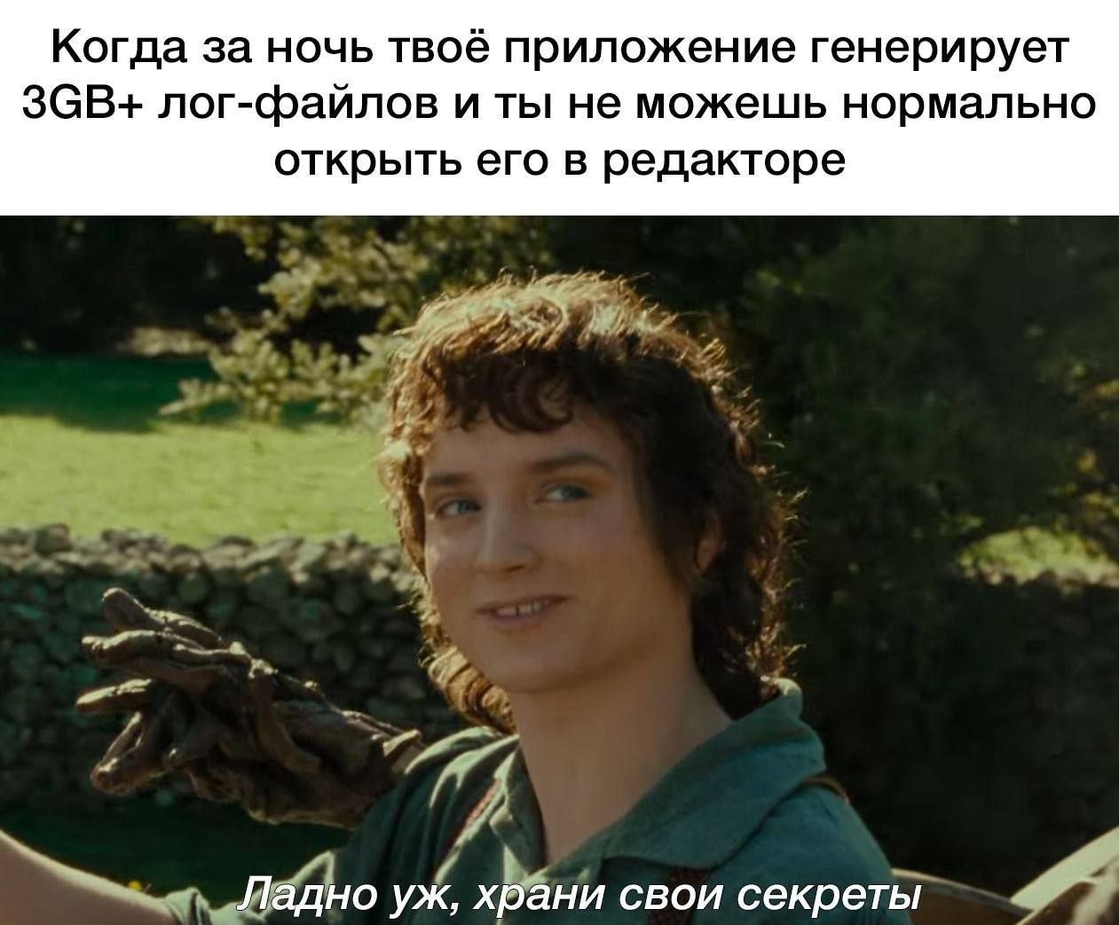 Когда за ночь твоё приложение генерирует лог-файлов и ты не можешь нормально открыть его в редакторе Ладно храни свои секреты