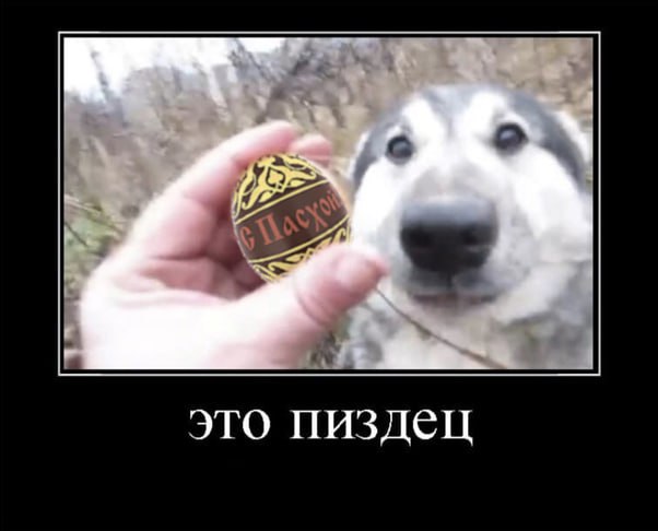 это пиздец