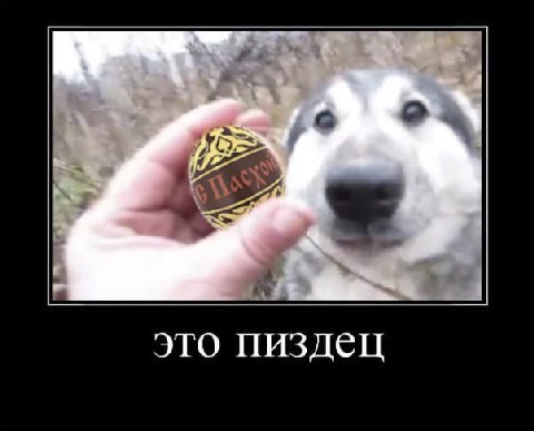 это пиздец