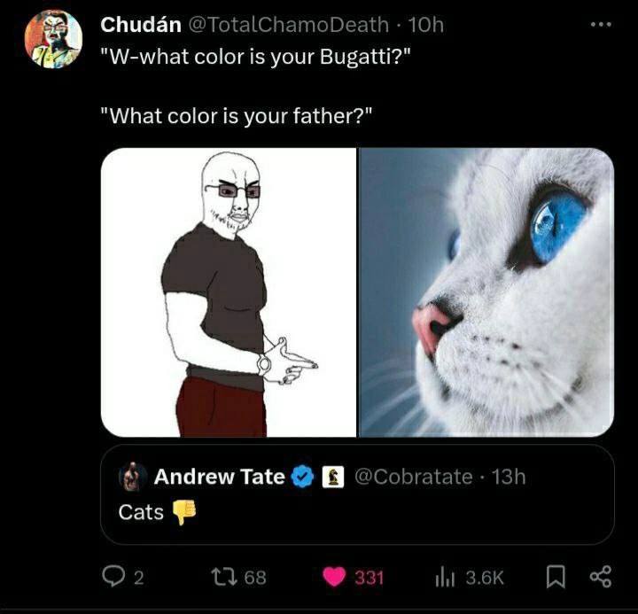 Chudan @TotalChamoDeath "W-what color is your Bugatti?" “What color is your father?" Andrew Tate @Cobratate Cats 68 3.64