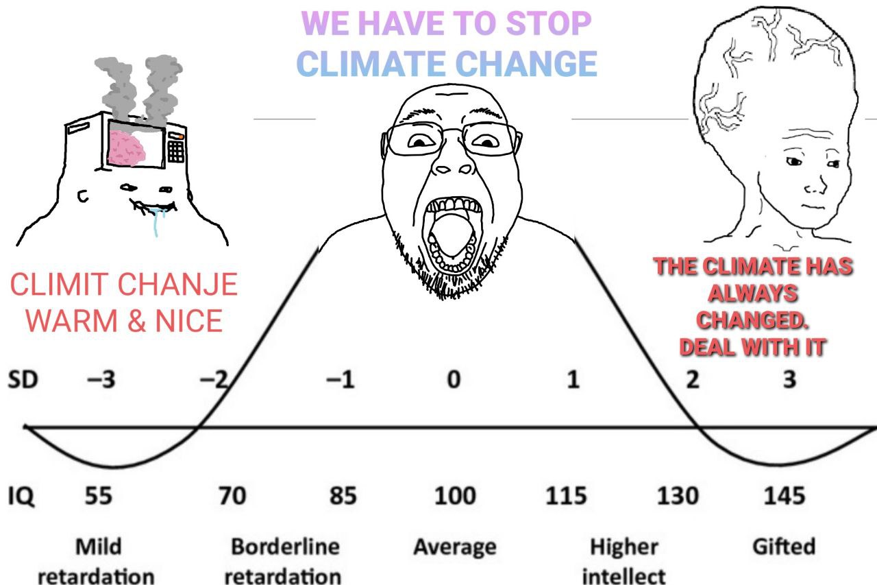 3% THE CLIMATE HAS CLIMIT CHANJE ALWAYS WARM NICE DEAL WITH IT 55 70 85 100 115 130 145 Mild Borderline Average Higher Gifted retardation retardation intellect