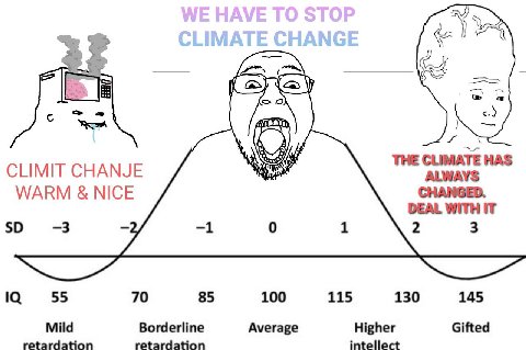 3% THE CLIMATE HAS CLIMIT CHANJE ALWAYS WARM NICE DEAL WITH IT 55 70 85 100 115 130 145 Mild Borderline Average Higher Gifted retardation retardation intellect
