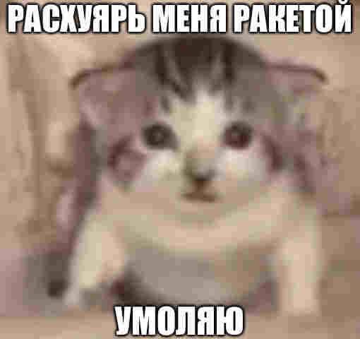 РАСКУЯ МЕНЯ РАКЕТОЙ УМОЛЯЮ