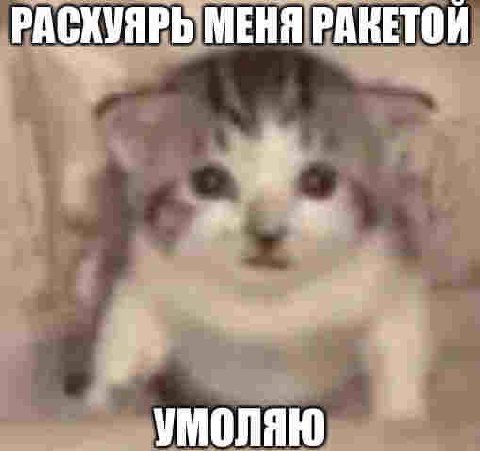 РАСКУЯ МЕНЯ РАКЕТОЙ УМОЛЯЮ