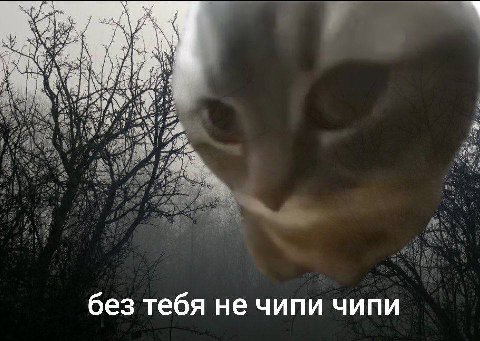 без тебя не чипи чипи