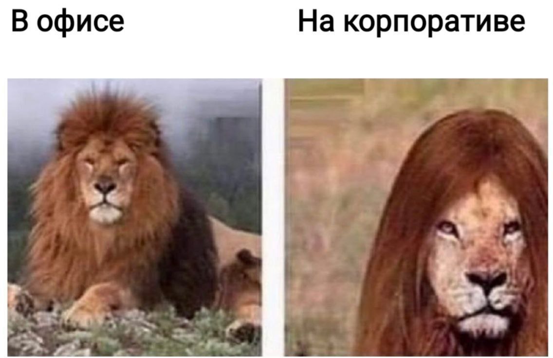 В офисе На корпоративе we
