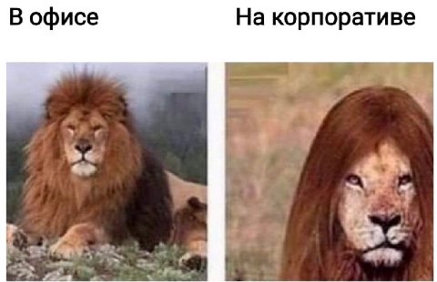 В офисе На корпоративе we