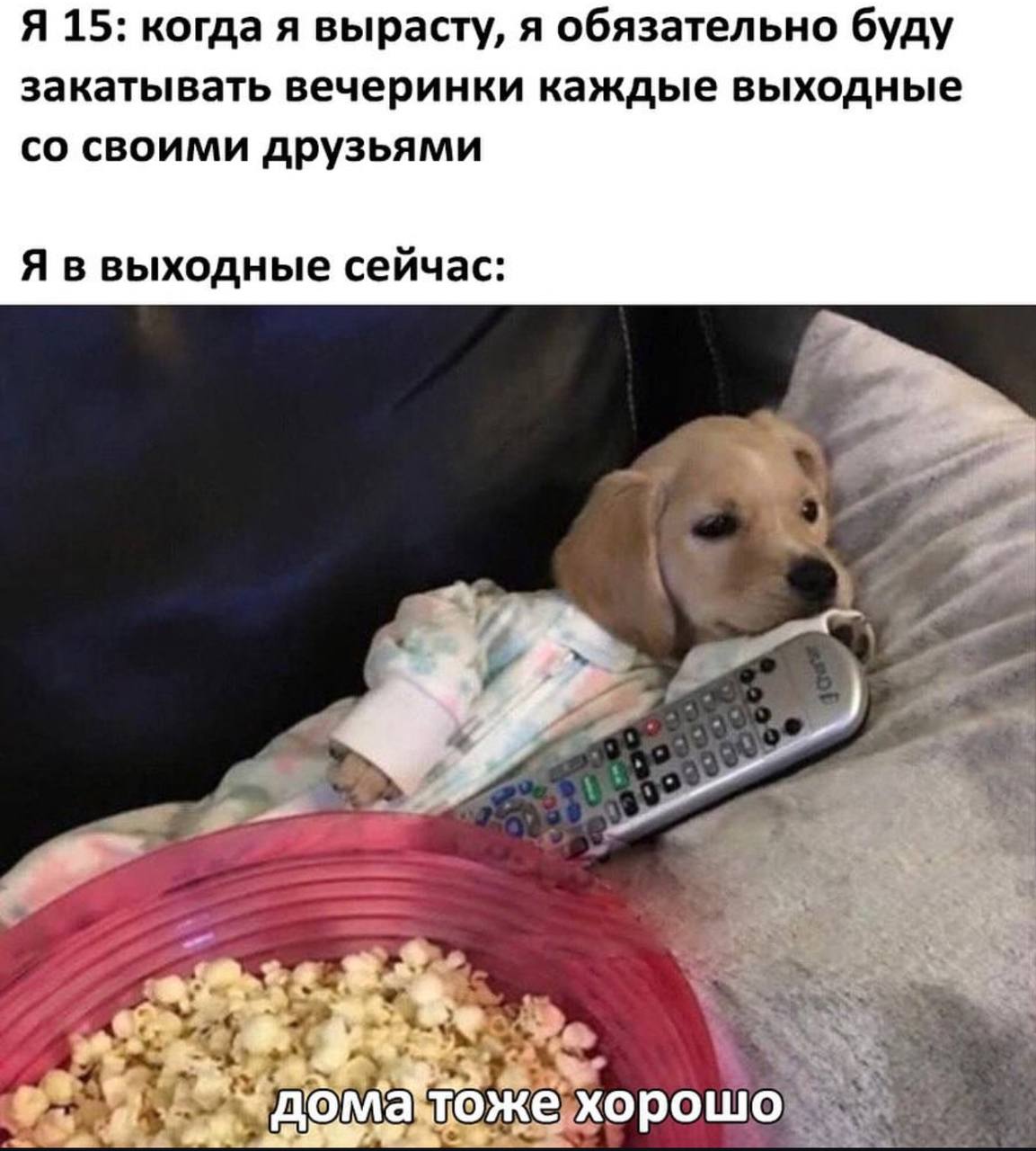 Я 15: когда я вырасту, я обязательно буду закатывать вечеринки каждые выходные своими друзьями Я в выходные сейчас: i: жехорошо