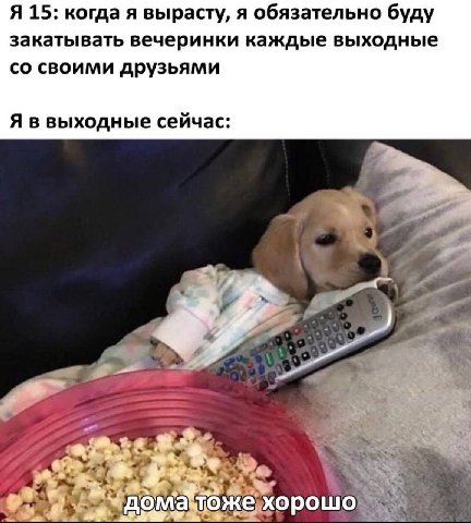 Я 15: когда я вырасту, я обязательно буду закатывать вечеринки каждые выходные своими друзьями Я в выходные сейчас: i: жехорошо