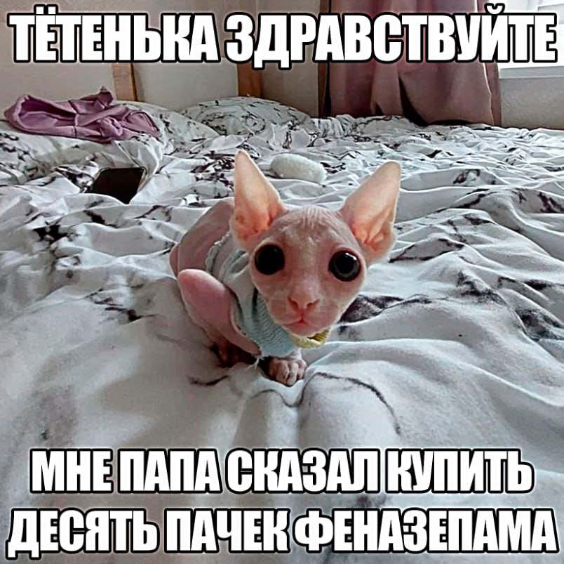 ЗДРАВСТВУЙТЕ к ПАПА СКАЗАЛ КУПИТЬ ДЕСЯТЬ ПАЧЕК ФЕНАЗЕПАМА