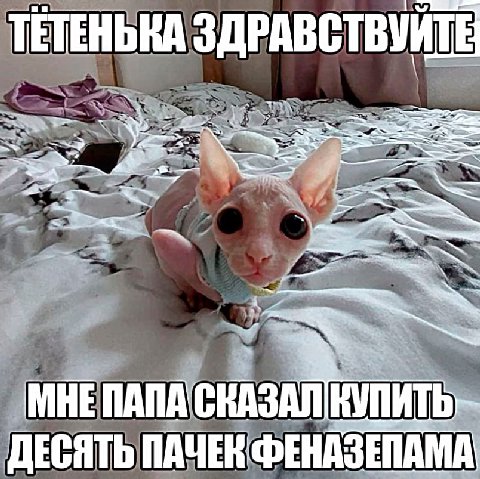 ЗДРАВСТВУЙТЕ к ПАПА СКАЗАЛ КУПИТЬ ДЕСЯТЬ ПАЧЕК ФЕНАЗЕПАМА