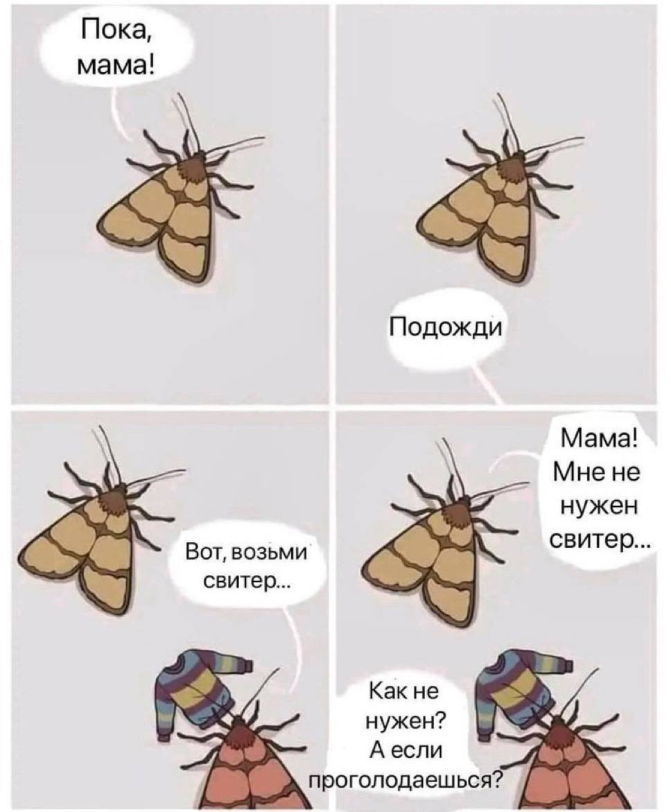 Пока, мама! Подожди Мама! Мне не нужен Вот, возьми свитер. свитер... Как не нужен? А если проголодаешься?