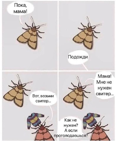 Пока, мама! Подожди Мама! Мне не нужен Вот, возьми свитер. свитер... Как не нужен? А если проголодаешься?