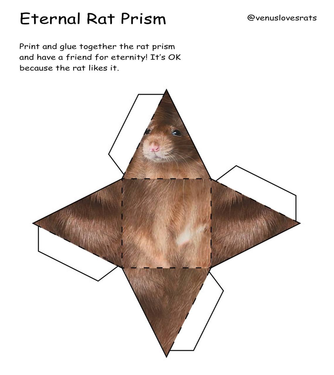 @venuslovesrats Eternal Rat Prism Print and glue together the rat prism and have a friend for eternity! It's because the rat likes it.