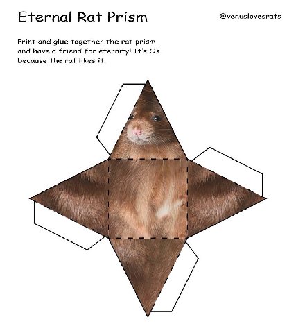 @venuslovesrats Eternal Rat Prism Print and glue together the rat prism and have a friend for eternity! It's because the rat likes it.