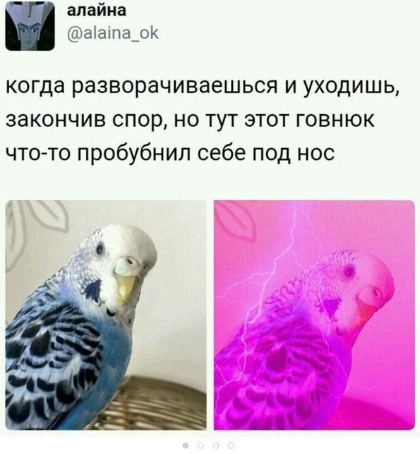 алайна @alaina_ok когда разворачиваешься и уходишь, закончив спор, но тут этот говнюк что-то пробубнил себе под нос У