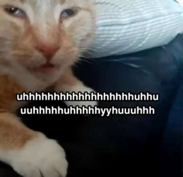 uhhhhhhhhhhhhhhhhhhuhhu uuhhhhhuhhhhhyyhuuuhhh
